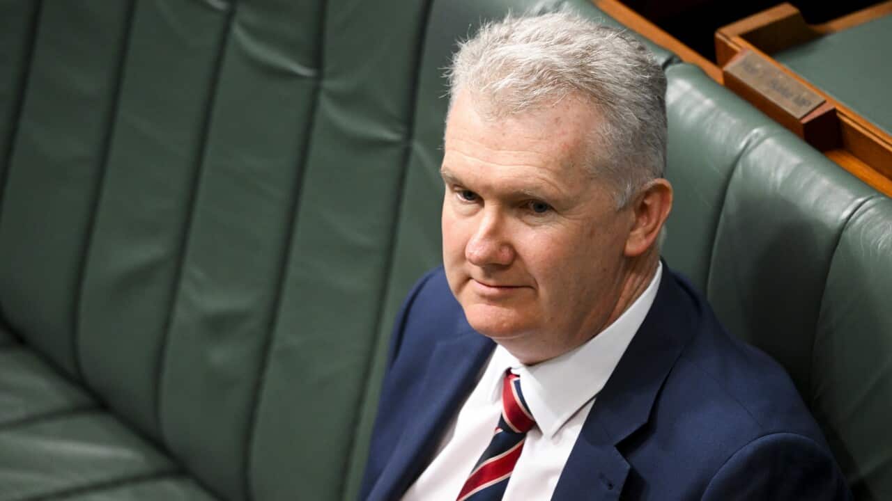 TONY BURKE IR BILL
