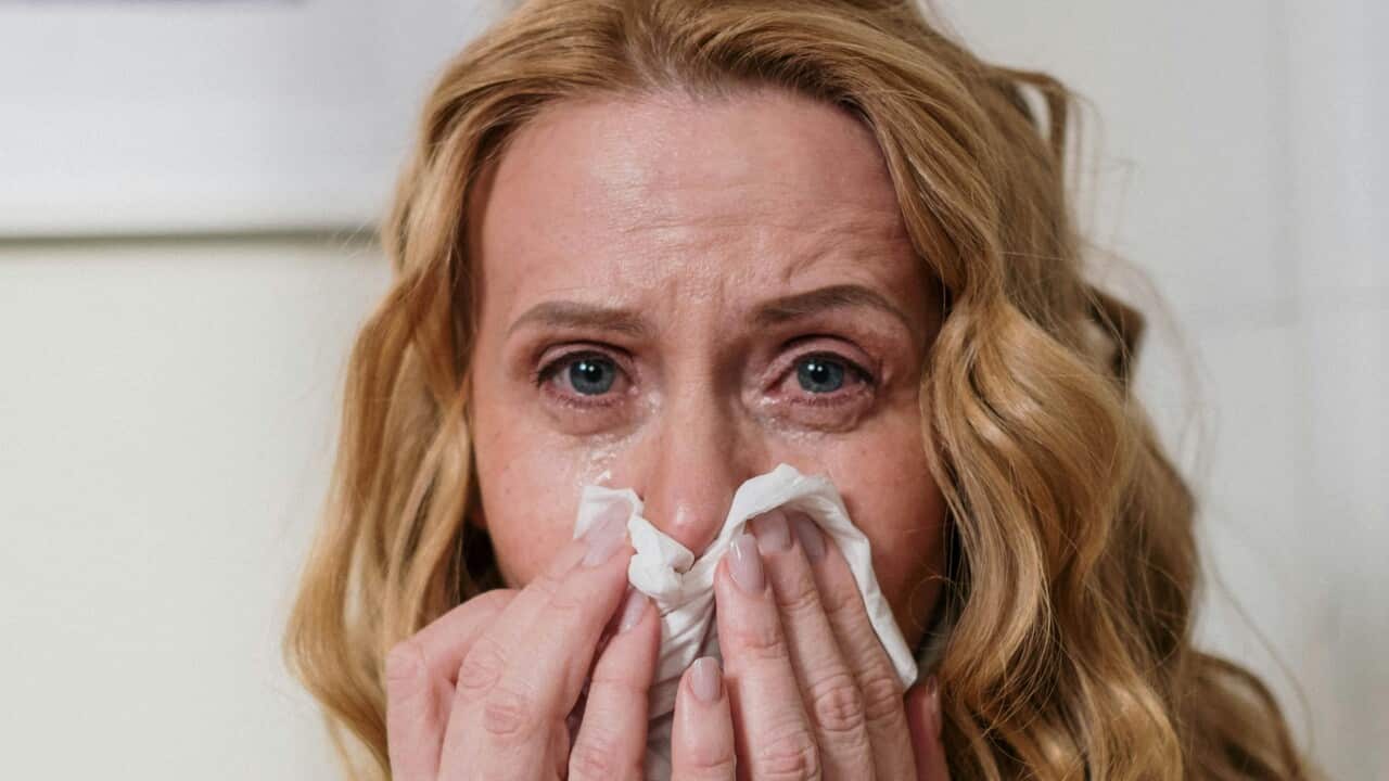 Image for read more article ''