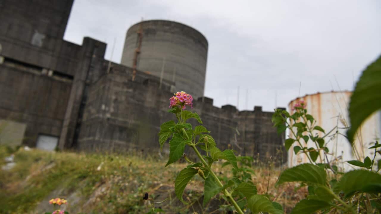 Filipino news, Marcos Administration, Alyternative Energy, Nuclear Power Plant
