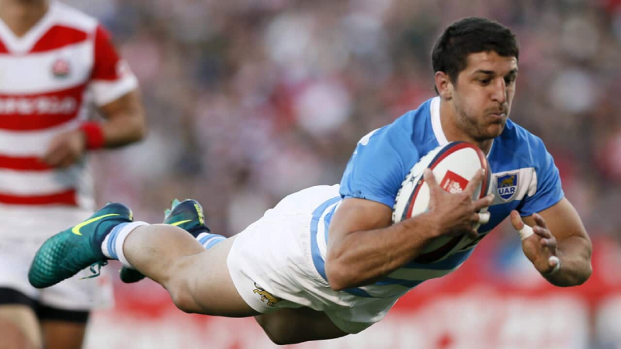 ACT Brumbies Argentine halfback Tomas Cubelli