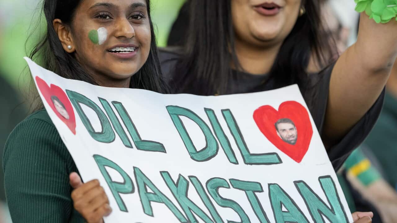 Australia T20 World Cup Cricket