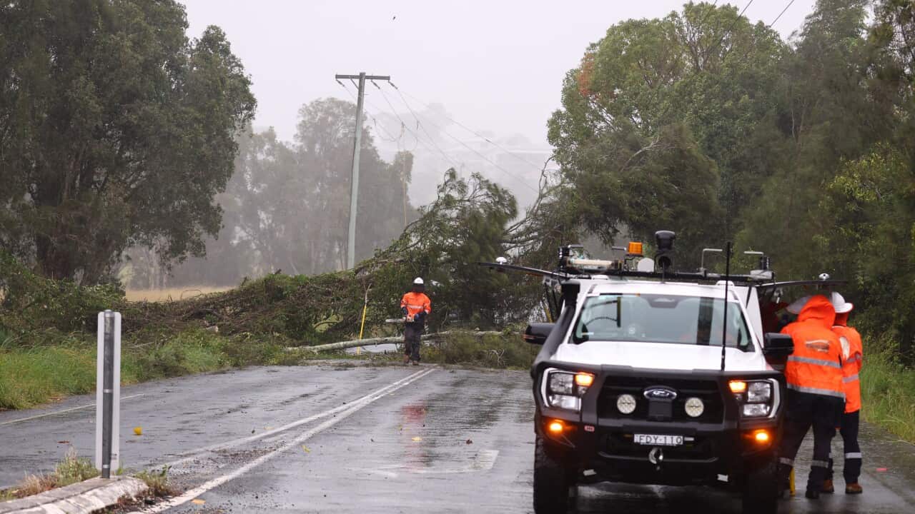 Image for read more article 'READ MORE'