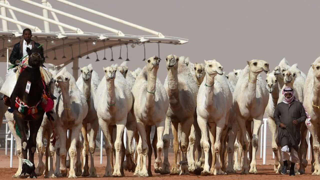 Image for read more article '相關內容'