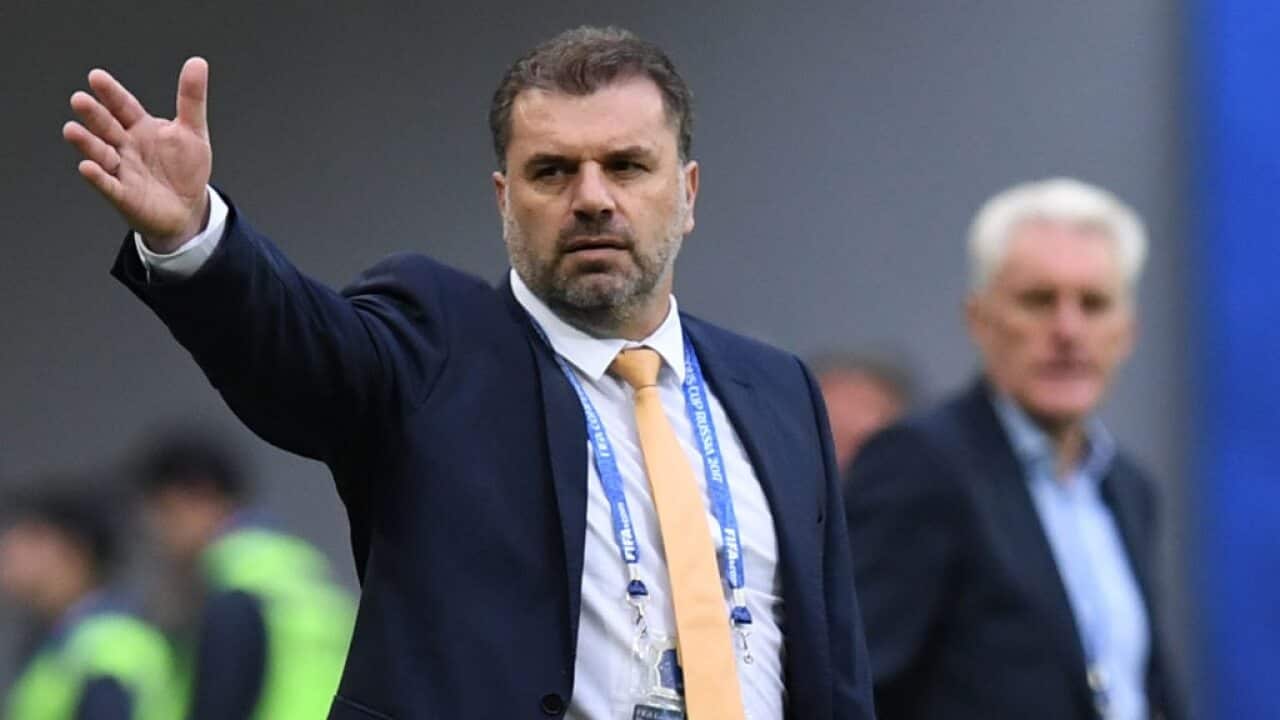 Ange Postecoglou