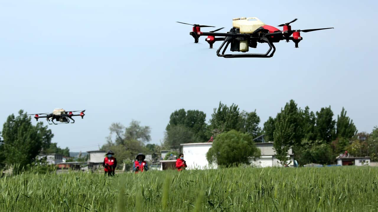 NACA Feature, economy, small business secrets, drone technology,