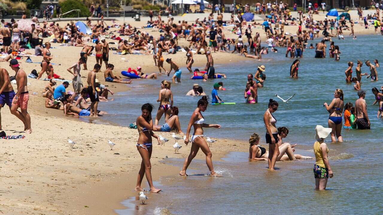 Heatwave St Kilda_0.jpg