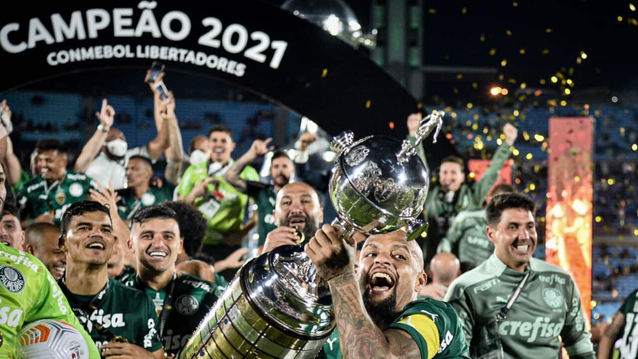 Image for read more article ''