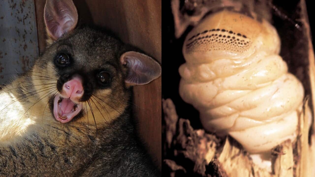 Image for read more article 'READ MORE'