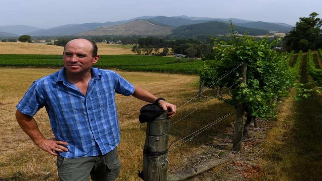 Mark Holm co-owner of Ringer Reef Winery in Porepunkah.