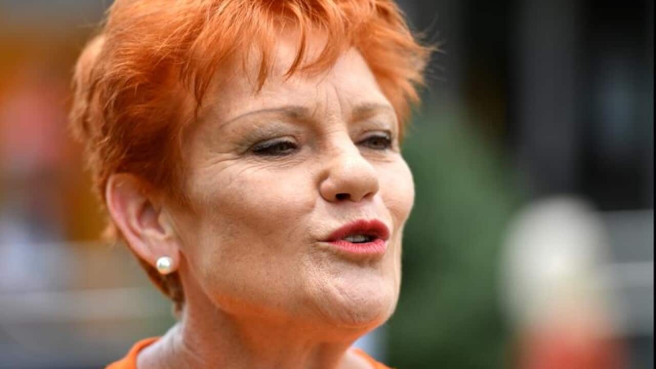 One Nation leader Senator Pauline Hanson