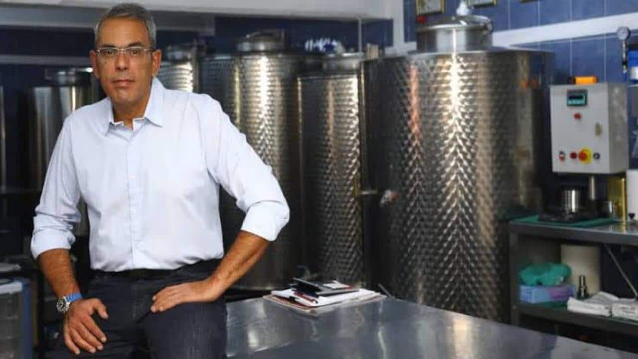 Sakkelaropoulos olive