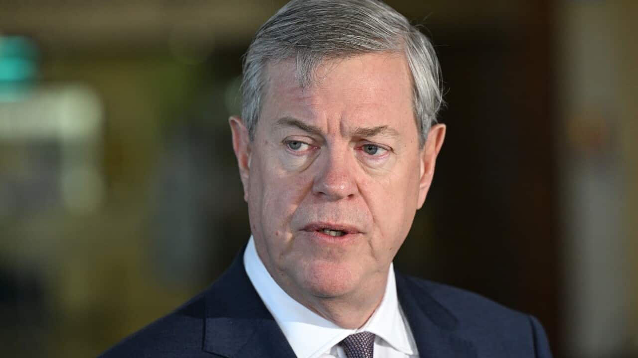 TIM NICHOLLS PRESSER