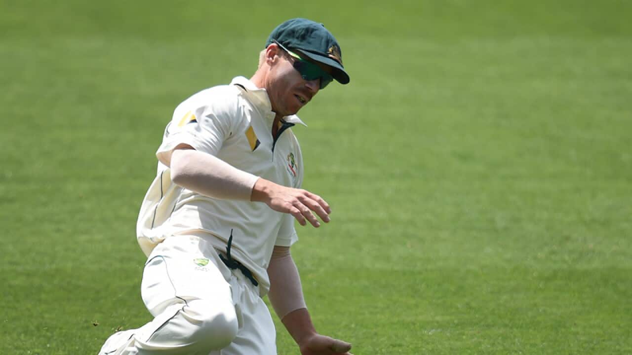 Australia's David Warner