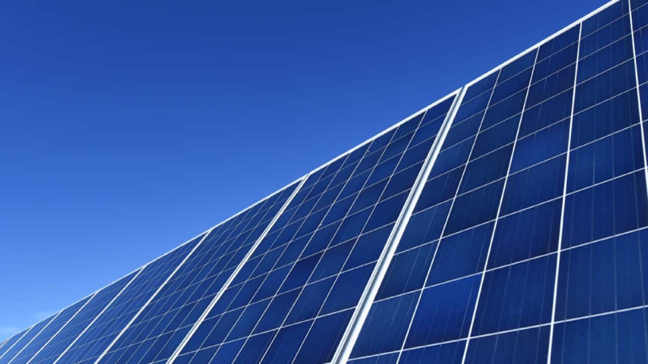 Solar panels are seen at a solar farm