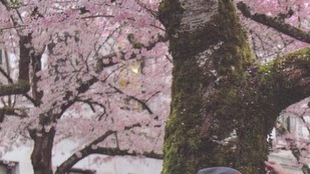 Parents disputes children family law