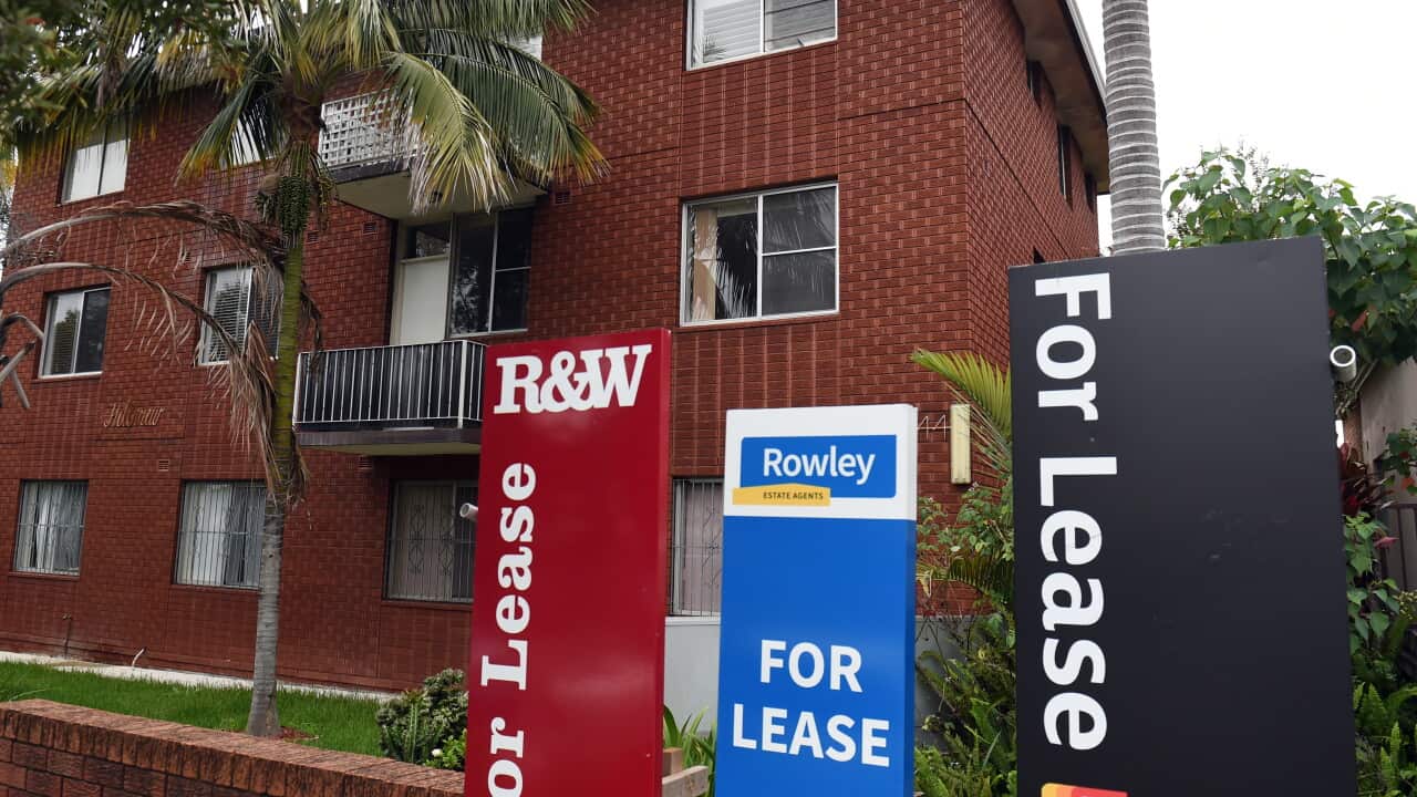 Three 'for lease' signs in front of a building block