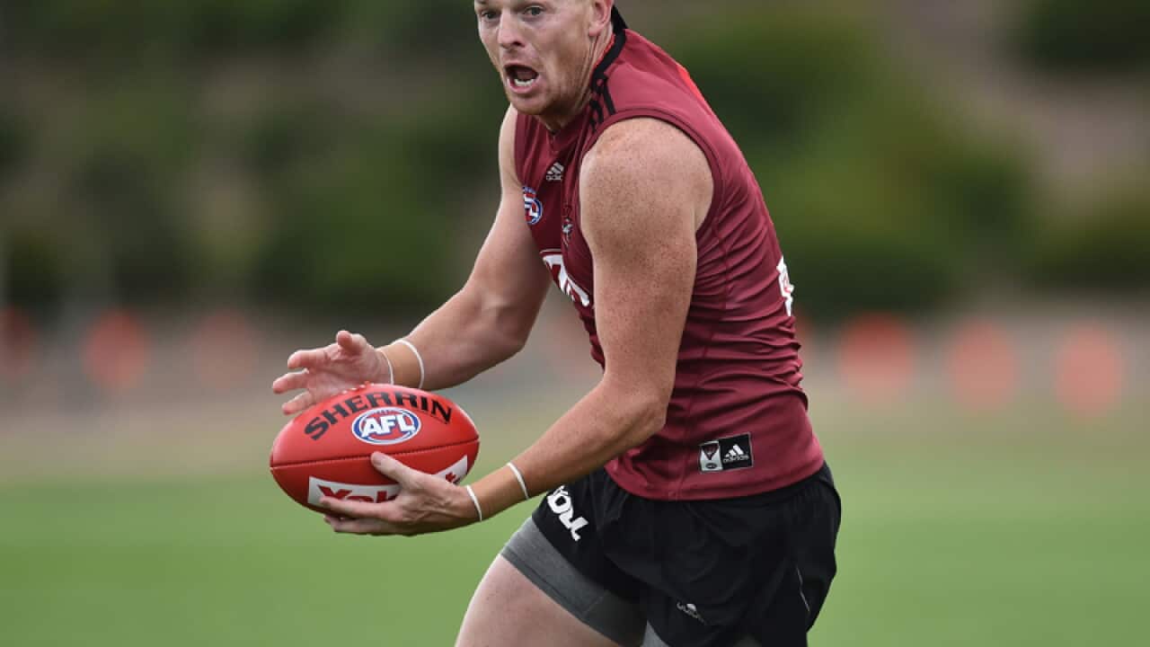 Senior Essendon player Brendon Goddard