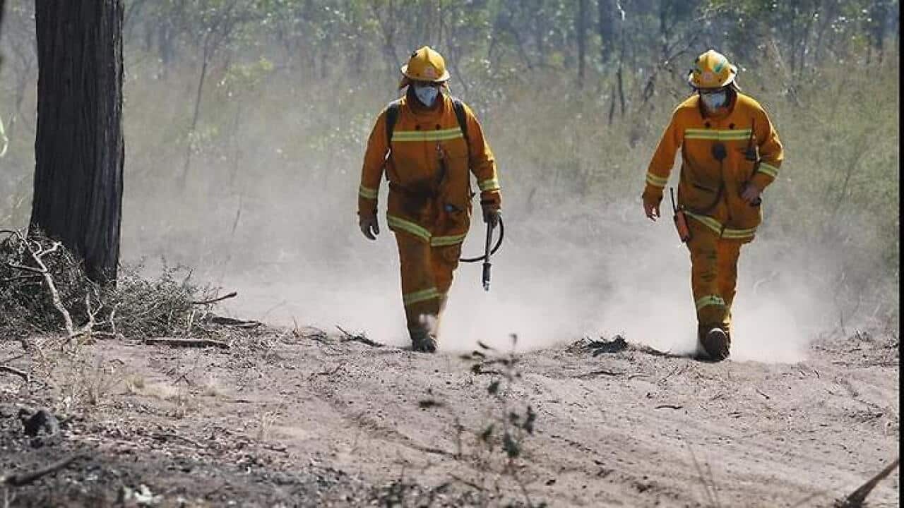 Firefighters are bracing for hot and windy conditions and increased fire danger in many parts of NSW this Sunday.