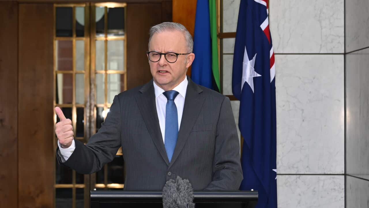 ANTHONY ALBANESE TAMMY TYRRELL PRESS CONFERENCE