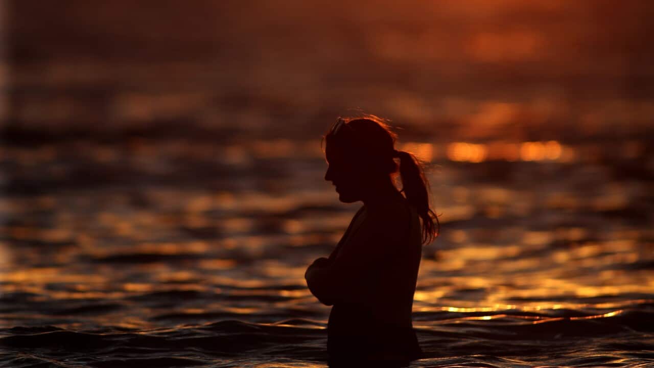 WHITE WALLABY TASMANIA