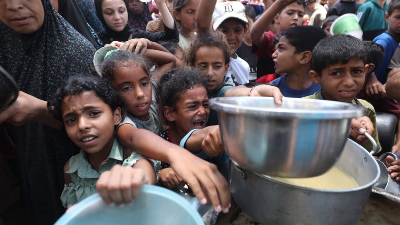 Children looking distressed hold bowls to receive food in a crushing crowd.