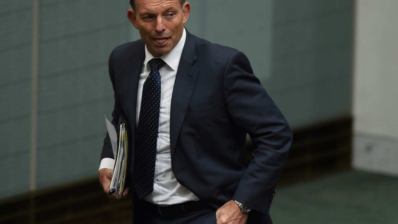 Former prime minister Tony Abbott
