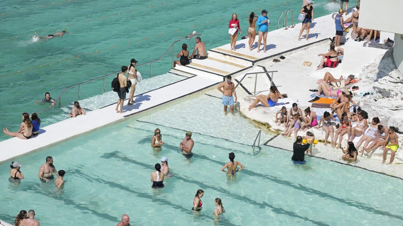 People are seated around a pool that others are swimming in.