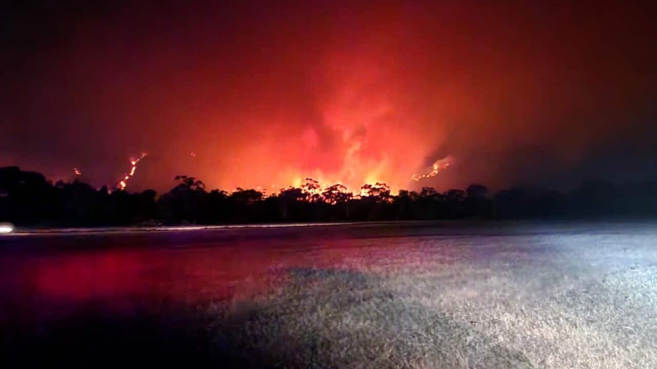 BUSHFIRES VICTORIA