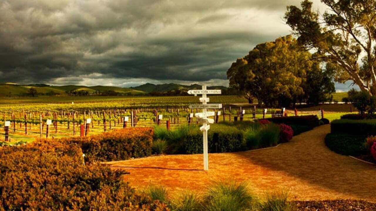 barossa_valley_winery_SA_L_aap_641999106
