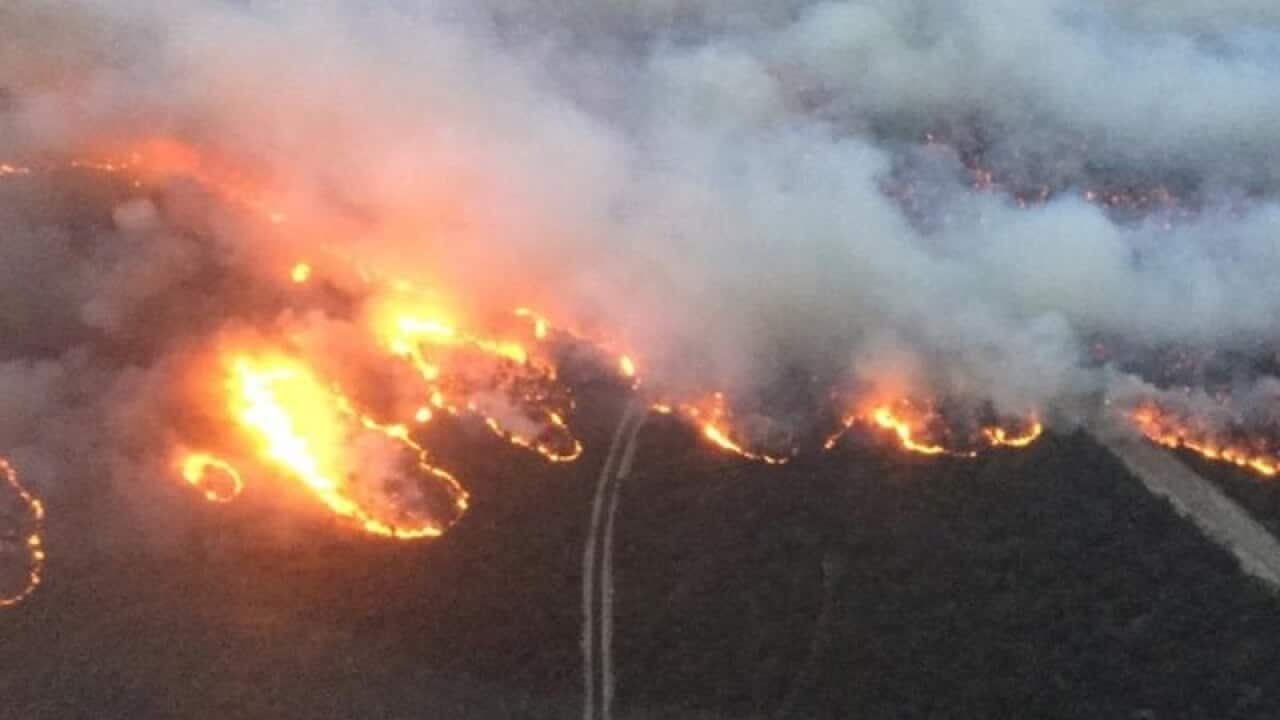 A supplied image of a view of the Rosedale firefront