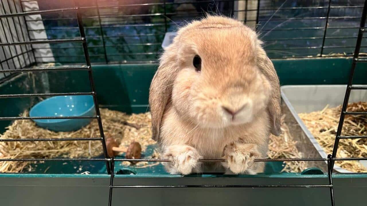 Image for read more article '更多內容'