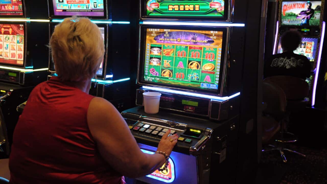A woman plays a poker machine
