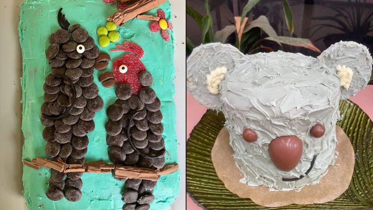 Image for read more article ''