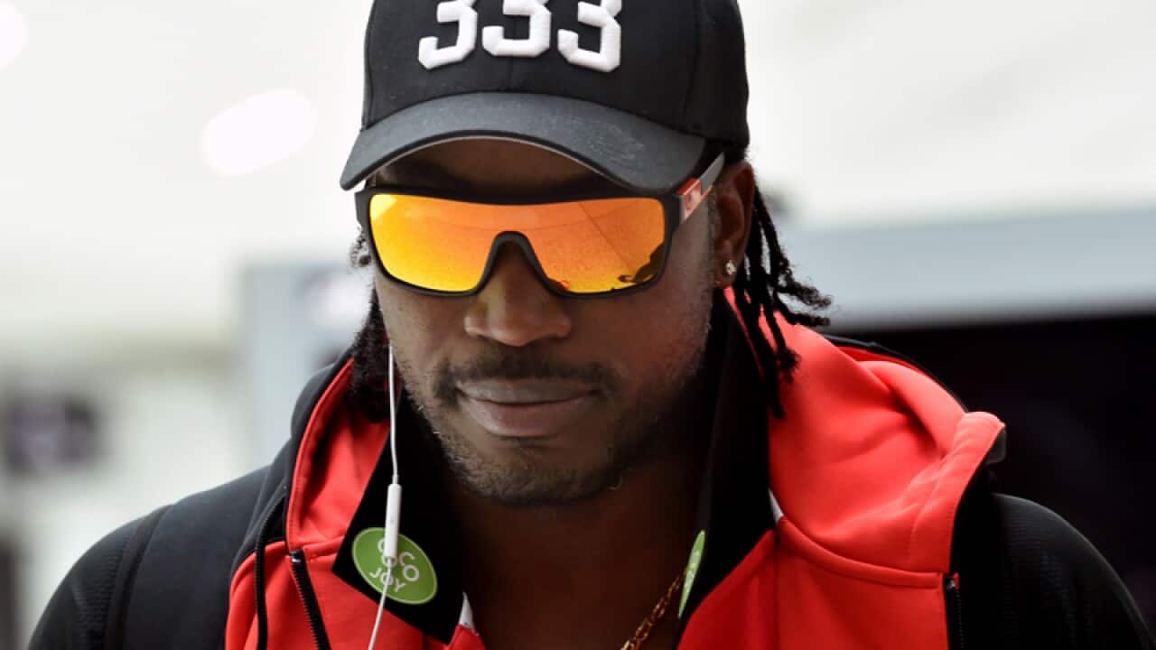 Melbourne Renegades batsman Chris Gayle