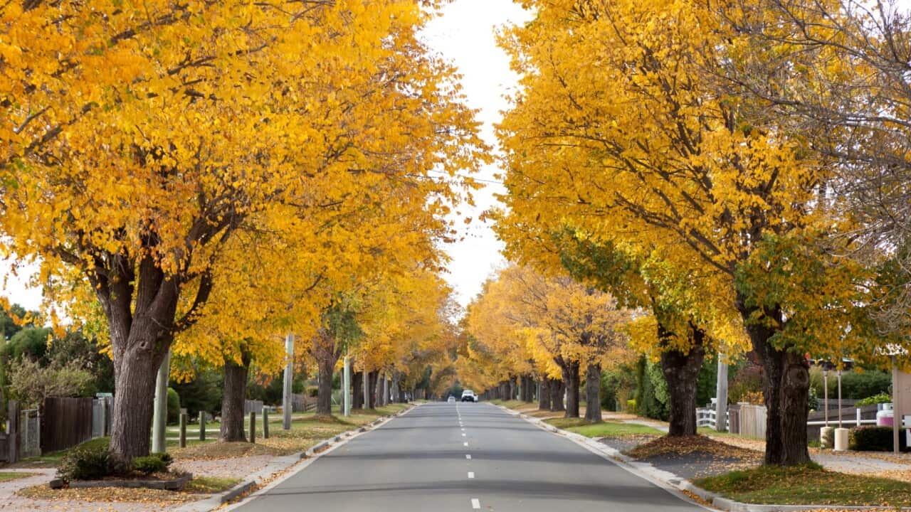 Image for read more article 'READ MORE'