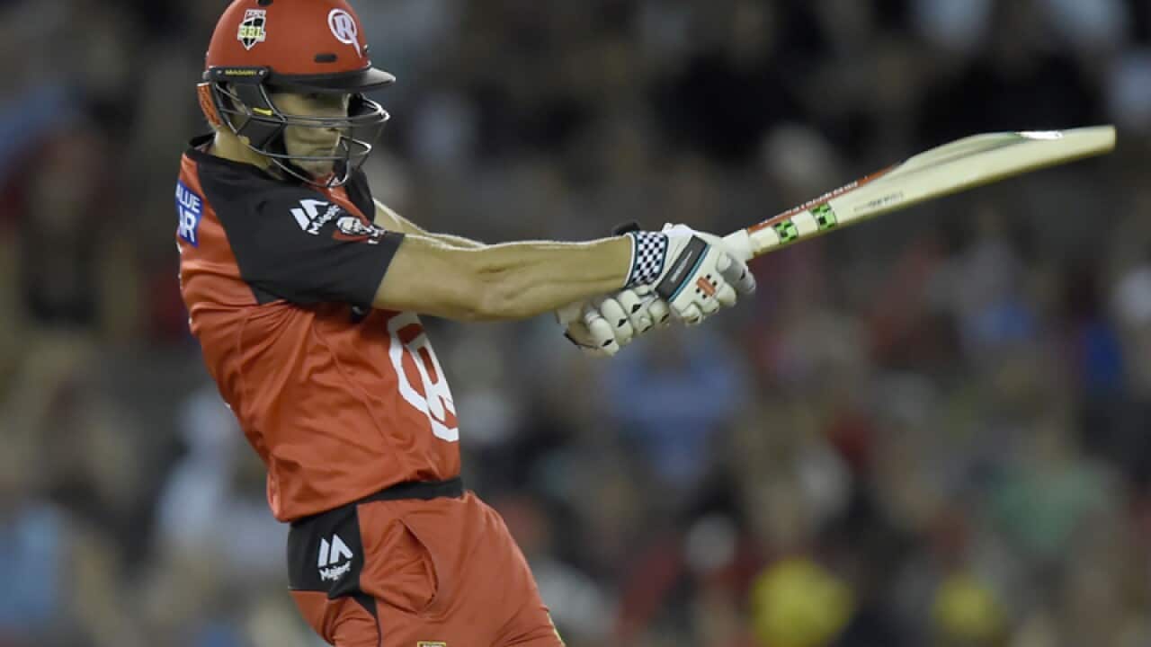 Victorian batsman Cameron White