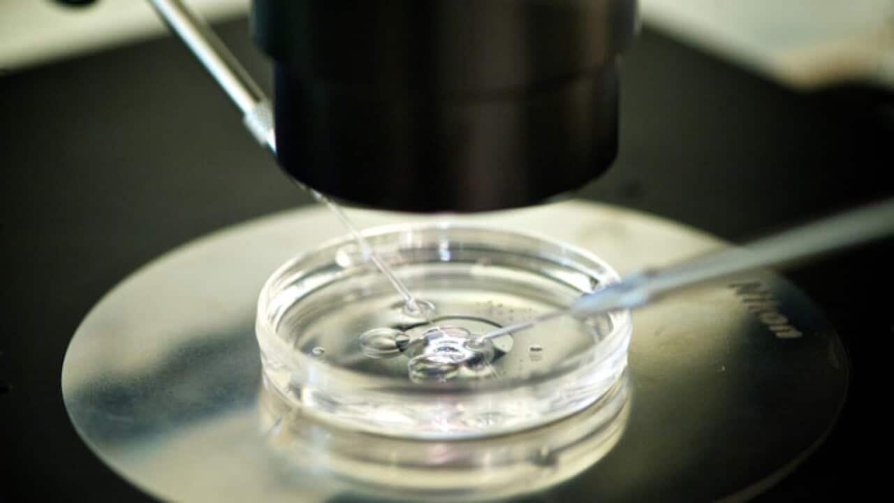 A Chinese scientist claims to have developed the world's first genetically-modified babies