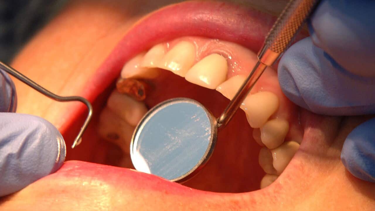 A dentist checking the condition of a patient's teeth.