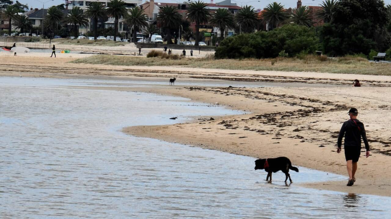 People walk their dogs along St Kilda beach in Melbourne, Tuesday, December 5, 2017.