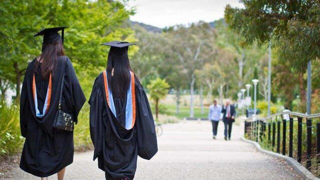 University graduates