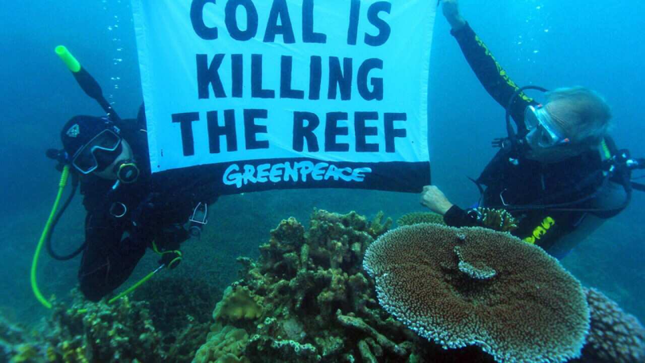 Activists protesting underwater in the Great Barrier Reef