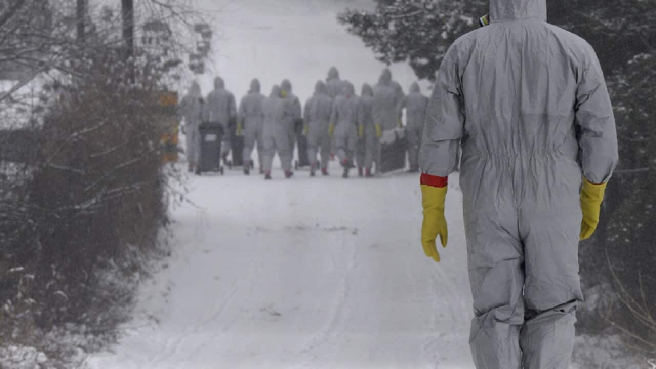 Two new bird flu cases were confirmed in the Czech Republic