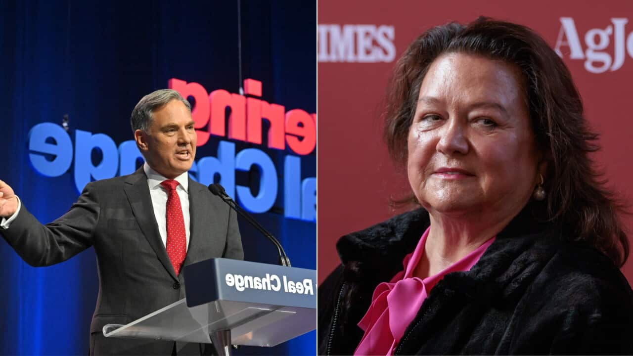 Richard Marles condemns Rinehart ABC video.jpg