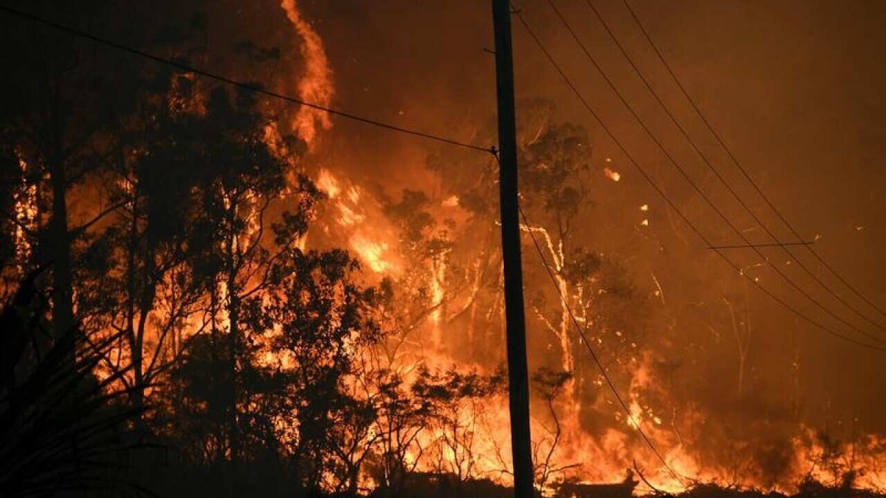 Bushfire crews watch a fire north of Sydney.