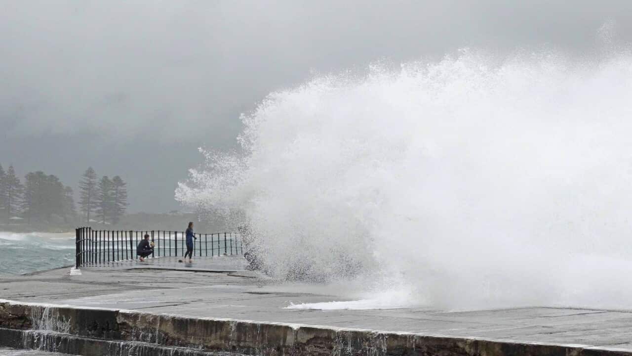 Residents of beachfront properties on the NSW south coast need to be on alert with wild weather set to hit the region.