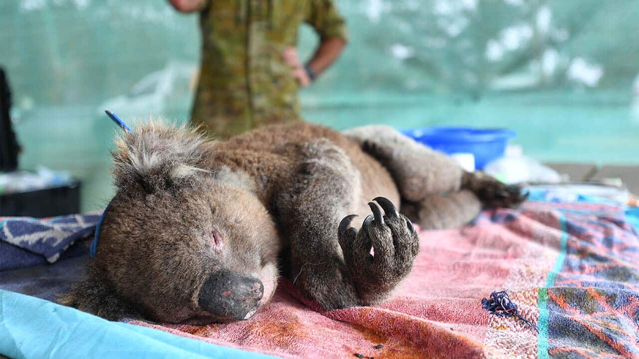 Image for read more article ''