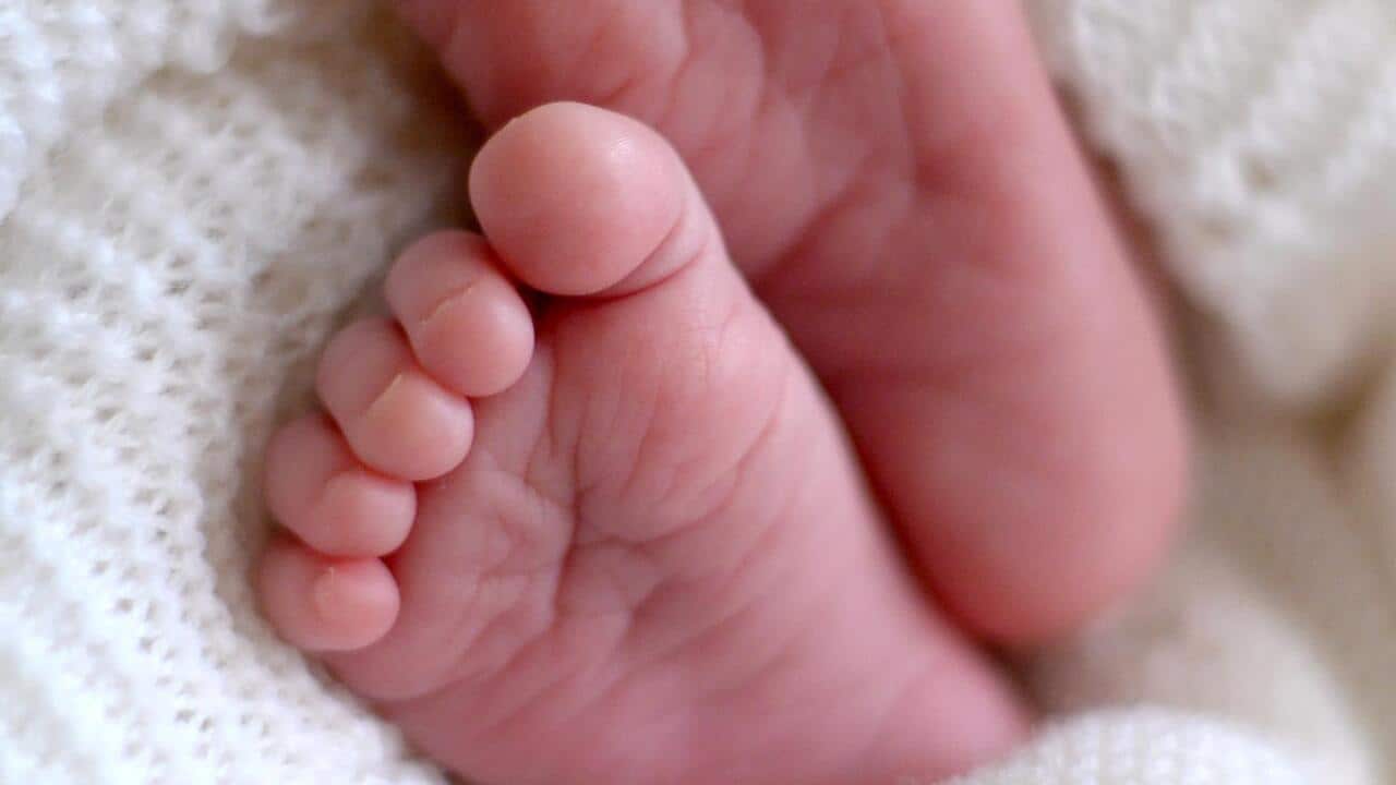 A newborn baby's feet
