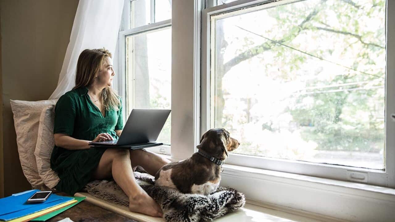 Woman working at home with dog
