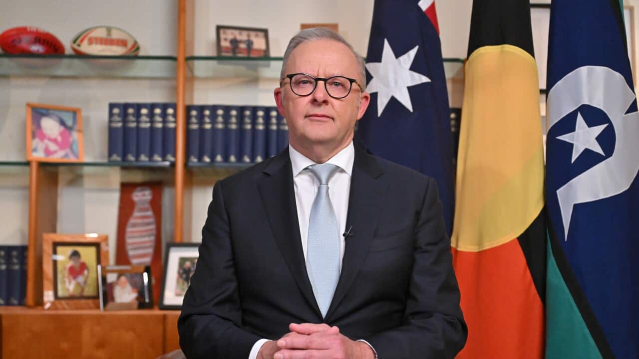 ANTHONY ALBANESE NATIONAL BROADCAST