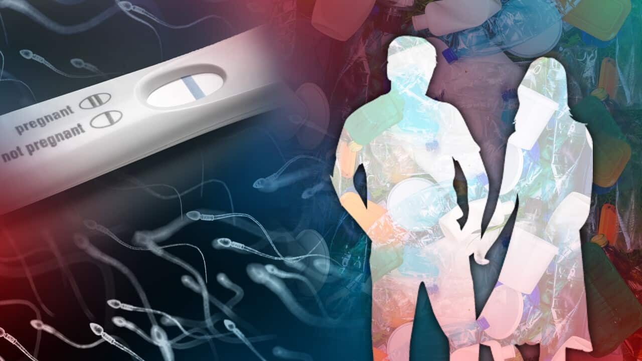 Montage featuring a silhouette of a man and a woman, a negative pregnancy test, sperm and plastic bottles and other items.